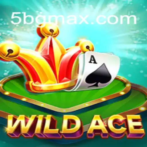 5BG.com Casino App